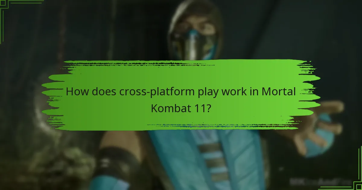 How does cross-platform play work in Mortal Kombat 11?