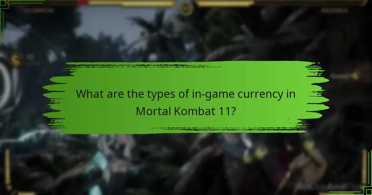 What items are available in the Mortal Kombat 11 shop?
